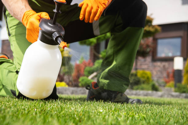 Best Commercial Pest Control Services  in Barberton, OH