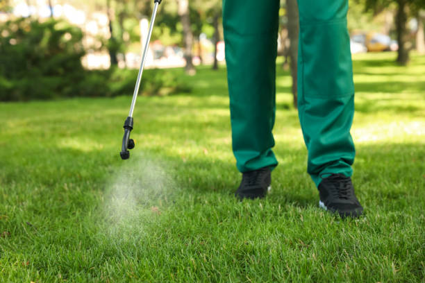 Best Rat Extermination Near Me  in Barberton, OH