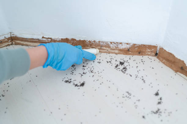 Reliable Barberton, OH Pest Control Solutions